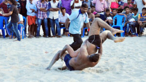wrestling and boxing-cochin carnival